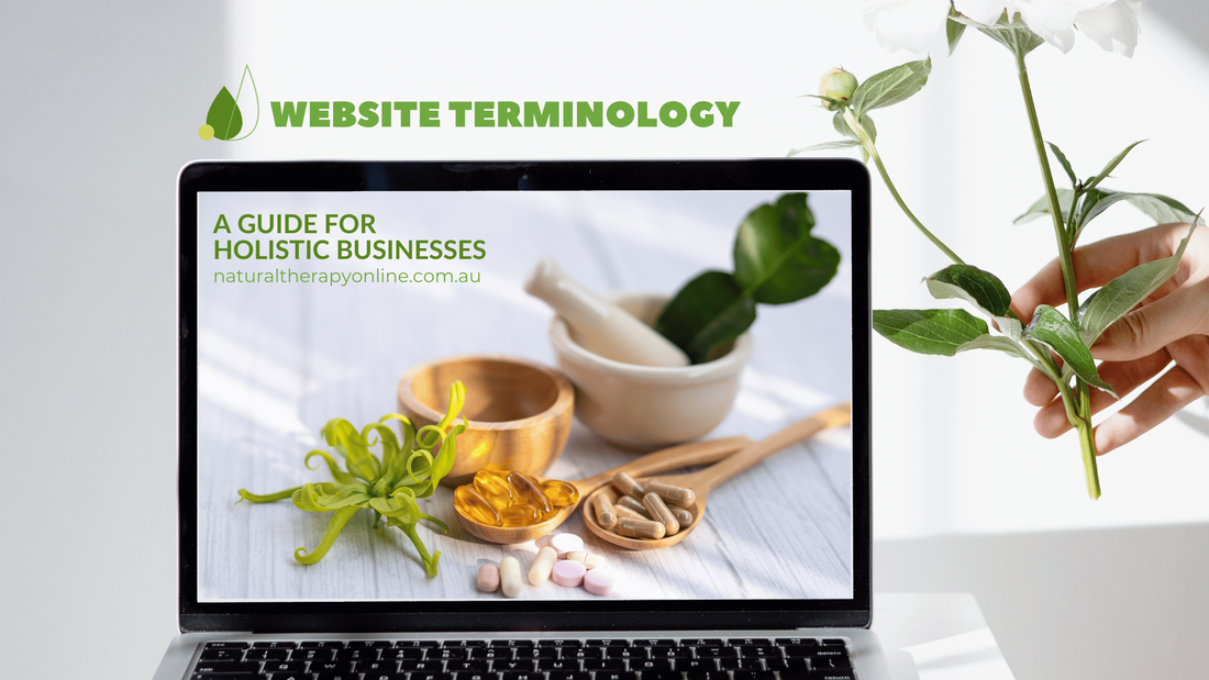 Blog Banner introducing Website Terminology: A Guide for Holistic Businesses